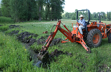 digging out the creek