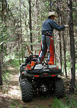 clearing trail