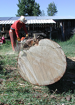 cutting firewood