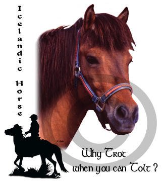 Icelandic Horse tolt design