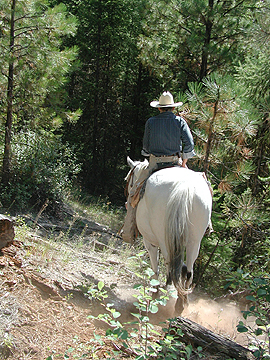 Kari riding down Coyote Ridge