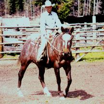Mirror KB Appaloosa Horse Ranch - natural horsemanship training
