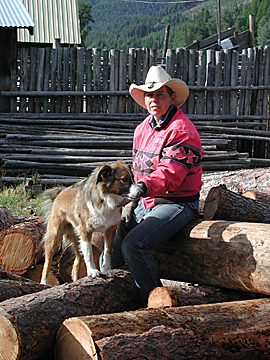 pile of logs for firewood