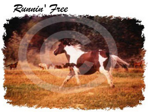Runnin' Free
