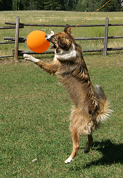 Sage attacks balloon