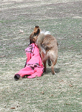 Sage running with jacket