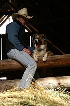 in the hay barn