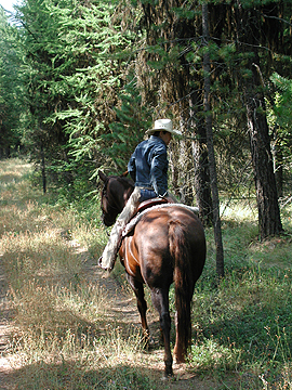 Kari checking out the back trail