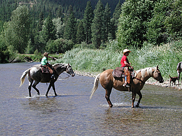our cousins ride their mounts across the Fishser River