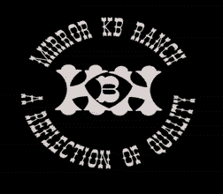 Mirror KB logo
